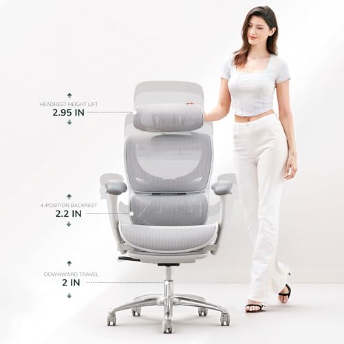 COLAMY AERIX Futuristic Mesh Ergonomic Office Chair, Gray COLAMY