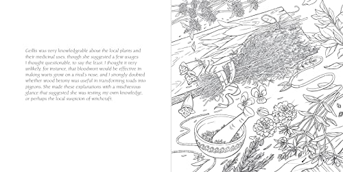 The Official Outlander Coloring Book: An Adult Coloring Book Bantam