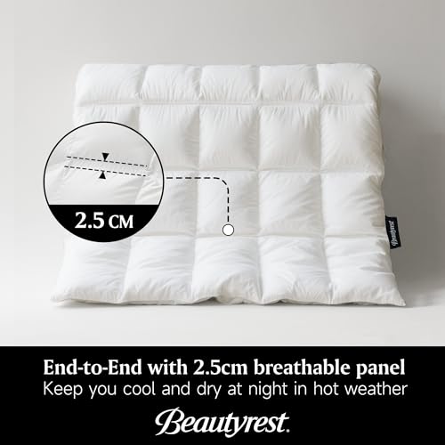 Beautyrest Goose Down Fiber Comforters King Size, Lightweight Blanket/Duvet Insert for Summer and Hot Sleepers, 100% Cotton Fabric, 8 Corner Tabs, Hotel Collection Down Fiber Blanket, 106x90 Inch Beautyrest