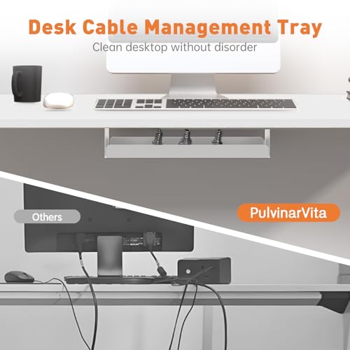 PulvinarVita Dual Motor Standing Desk Frame, Ergonomic Stand Up Desk Base Workstation with Cable Management Tray, Headphone Hook for Home Office PulvinarVita