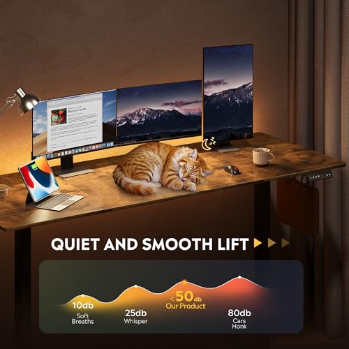 DEVAISE 71 * 28 Inches Electric Standing Desk, Dual Motors for Quite Adjustment,3 Memory Preset Adjustable Stand up Desk, Computer Desk Sit to Stand Desk for Home Office (Rustic Brown) DEVAISE