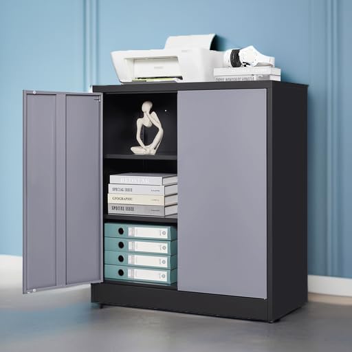 Letaya Metal Storage Cabinets with Lock Door,2 Adjustable Shelves Organizer Steel Storage Cabinets for Home,Office,Warehouse,Garage,Employee Lockers(Black Gray) Letaya