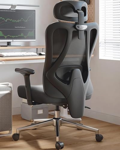 Hbada P3 Ergonnomic Office Chair with 2D Adjustable Lumbar Support, Office Chair with Adjustable Headrest and Armrest, 145ยฐ Stepless Tilt Function, Black(No Footrest) Hbada