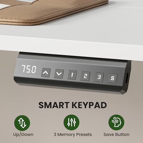 Casaphoria 48 x 24 inches Electric Standing Desk, Sit to Stand Desk with Memory Height Adjustment, Home Office Computer Desk for Writing and Games, White Casaphoria