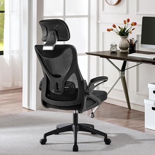 Yaheetech Ergonomic Office Chair, High Back Desk Chair with Headrest and Flip-up Armrest Lumbar Support for Home Office Meeting Room Study, Black Yaheetech