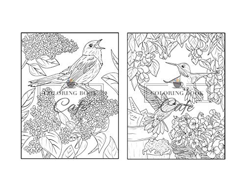 Songbirds Coloring Book: An Adult Coloring Book Featuring Beautiful Songbirds, Exquisite Flowers and Relaxing Nature Scenes Majosta