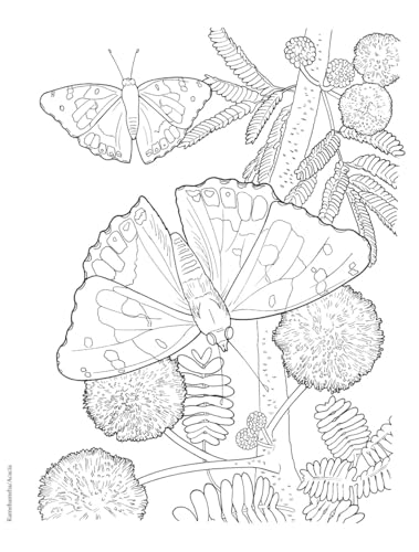 Creative Haven Butterfly Gardens Coloring Book; A Journey through Nature For Stress Relief and Relaxation (Adult Coloring Books: Insects) Dover Publications