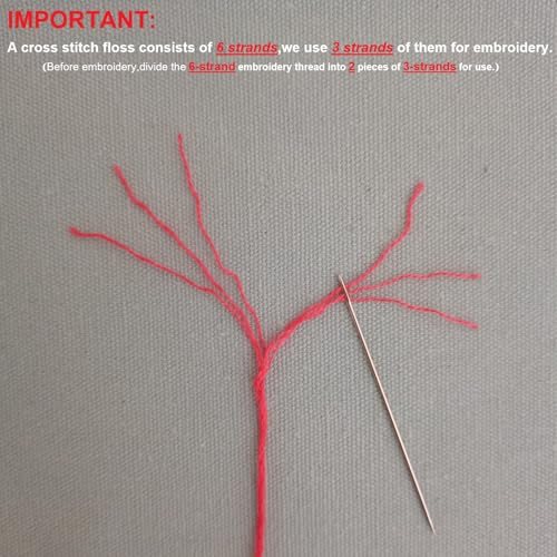 Stamped Cross Stitch Kit for Adult Beginner Easy Starter Cross Stitch Set with Pre-printed Mushroom Flower Plant Pattern Embroidery Cloth Floss Hoop and Instructions Fun Needlepoint Project Kit