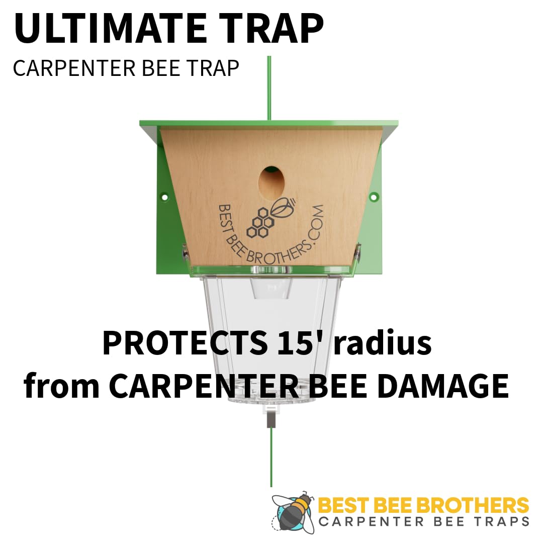 Best Bee Brothers Ultimate Carpenter Bee Trap for Outside with Large, Clear External Bee Vault & Spring-Loaded Door, 5.75" L x 6" W x 4.5" H Best Bee Brothers