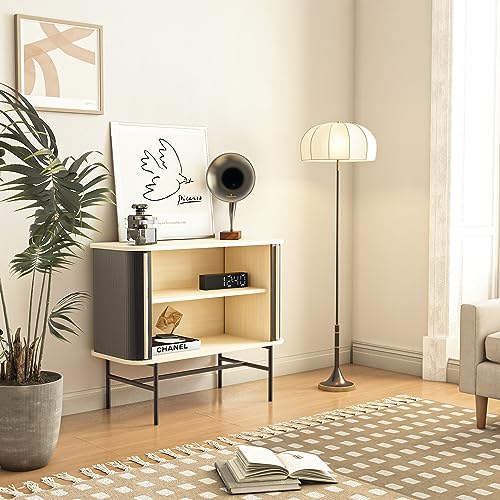 roomfitters Sideboard Buffet Cabinet with Sliding Doors, Mid Century Modern Credenza with 2 Tambour Doors, Minimalist Accent Storage Cabinet for Living Room, Media Console with Storage, Black roomfitters