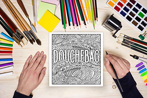 A Swear Word Coloring Book for Adults WoodArtSupply