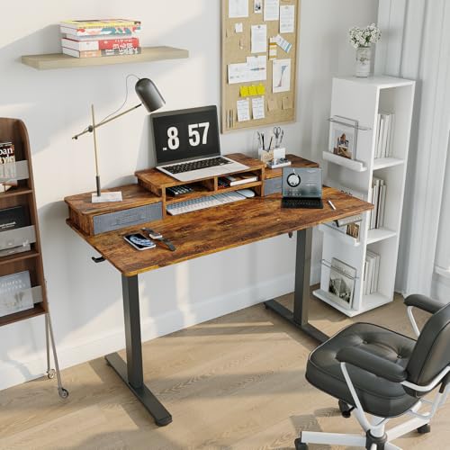 DSNAPE 48x24 Inch Electric Standing Desk with 2 Drawers, Adjustable Height Desk with Storage Shelf, 3 Preset Heights, 2 Hooks and Cable Management, Ergonomic Rising Computer Table for Home Office DSNAPE