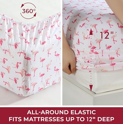 Beatrice Home Fashions Printed Microfiber Sheet Set, Soft Comfortable Easy Care, Includes 1 Fitted Sheet with 12" Deep Pockets, 1 Flat Sheet, Pillowcase, Twin, Pink Flamingo Beatrice Home Fashions