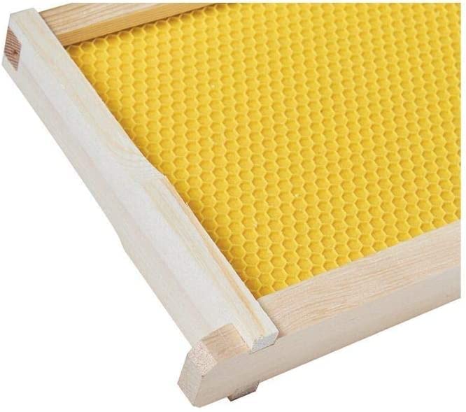 BeeCastle 40-Pack Beehive Bee Frames Waxed Foundation with Complete Unassembled Commercial Frames, 6-1/4-Inch (Yellow) BeeCastle