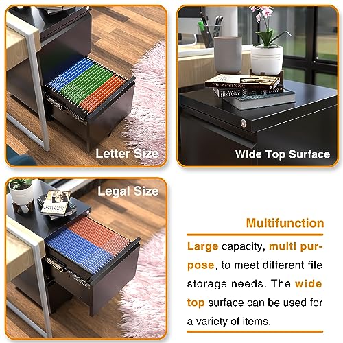 Aobabo Metal 2 Drawer Mobile File Cabinet with Lock, Under Desk Office Steel Filing Cabinet, 25.6''H Legal/Letter Size Files Storage Cabinet,Black,Fully Assembled Aobabo