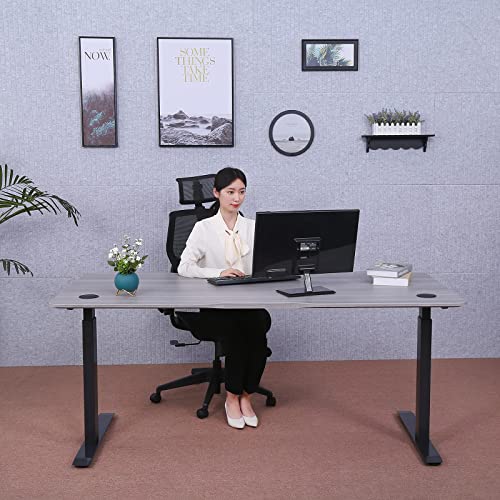 ApexDesk Elite Pro Series 71" x 33" Electric Height Adjustable Stand up Desk, Sit Stand Home Office Desk, Computer Desk - Curved Grey Top/Black Frame ApexDesk