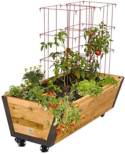 GBL 2" Heavy Duty Caster Wheels with Brakes + Screws - up to 440Lbs - Set of 4 No Floor Marks Silent Castor for Furniture - Rubbered Trolley or Pallet Swivel Wheels - Black Casters GBL