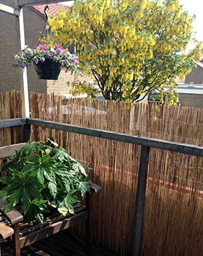 MGP Natural Reed Fence, 4'H x 14'L MGP