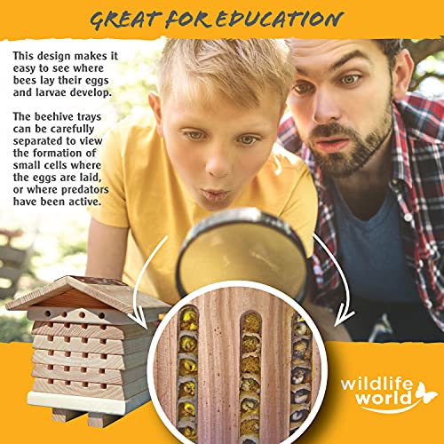 Wildlife World Interactive Wooden Bee House - Pollinator Bee Management System Wildlife World