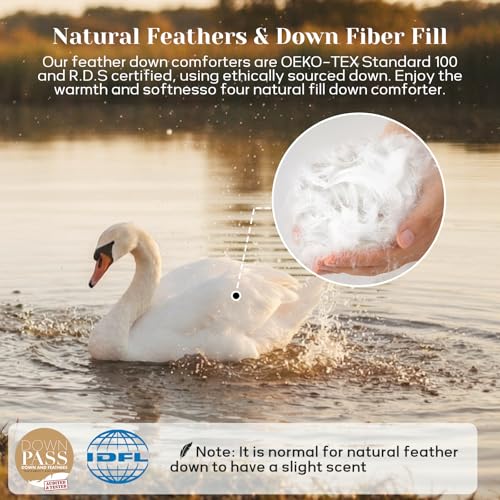 Joysoul Twin Size Down Comforter - All Season Ultra Soft Goose Down & Feather Fiber Fill, Luxury Hotel Cream Duvet Insert with Corner Tabs (68" X 88") Joysoul