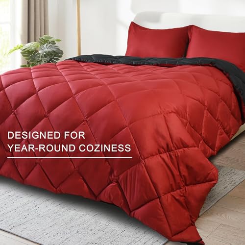 WQSPRING Queen Size Comforter Set, Reversible 3 Pieces Lightweight Soft Bedding Set for All Season, Premium Bed in a Bag Includes 1 Comforter (90"x90") and 2 Pillowcase (20"x26") WQSPRING