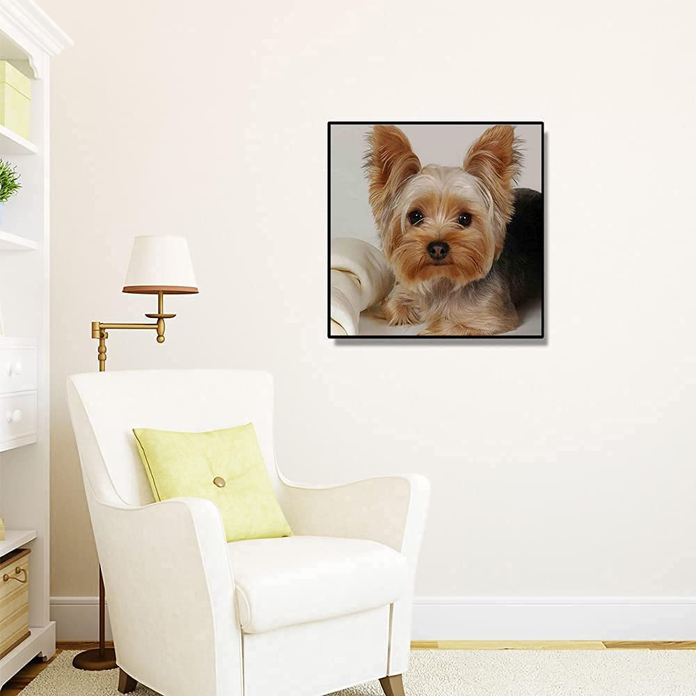 Puraikcmi 5D DIY Diamond Art Painting Yorkie Yorkshire Terrier Dog 16X16 inches Full Round Drill Rhinestone Embroidery for Wall Decoration Puraikcmi
