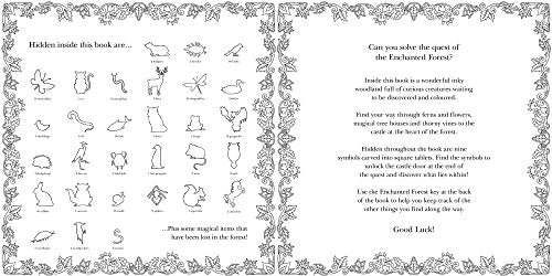 Enchanted Forest: An Inky Quest and Coloring book (Activity Books, Mindfulness and Meditation, Illustrated Floral Prints) Laurence King Publishing