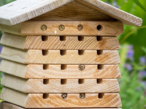 Wildlife World Interactive Wooden Bee House - Pollinator Bee Management System Wildlife World