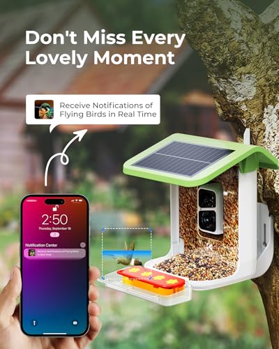 Smart Bird Feeder with Camera, 2-in-1 Bird Feeder Perch, 1080P HD AI Identify Hummingbird Feeder Camera, Auto Capture Bird Videos & Identify 10000+ K&F Concept