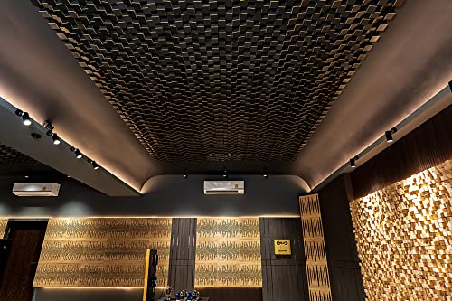 (2 Pack) — Sound Acoustic Studio Diffuser «Sirius» | 2D QRD | Diffusion - Reflection - Absorption - Soundproofing - Insulation | Wall Art Panel | (20"x20"x6" (50x50x15.3cm), Black) ua-acoustics