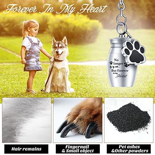 Tudomro 2 Pcs Pet Dog Urns Keychain for Ashes with 2 Storage Bags Small Cat Cremation Keepsake Jewelry Paw Print Memorial Urn(Fresh Style)