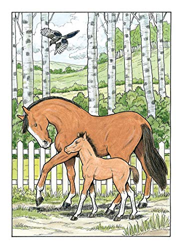 Adult Coloring Great Horses Coloring Book (Adult Coloring Books: Animals) Dover Publications