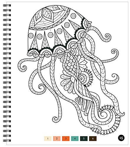 Brain Games - Color by Number: Stress-Free Coloring (Pink) Publications International, Ltd.