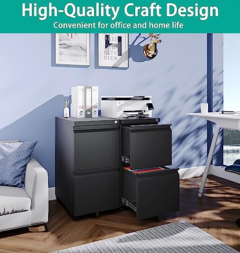 SISESOL 2 Drawer File Cabinet with Lock, Under Desk Metal Filing Cabinet for Home Office,Lockable Rolling File Cabinet with 2 Keys for Legal/Letter/a4 Size SISESOL