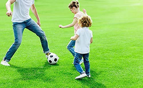 Fasmov Green Artificial Grass Rug Grass Carpet Rug 3.2' x 6.5', Realistic Fake Grass Deluxe Turf Synthetic Turf Thick Lawn Pet Turf -Perfect for Indoor/Outdoor Fasmov