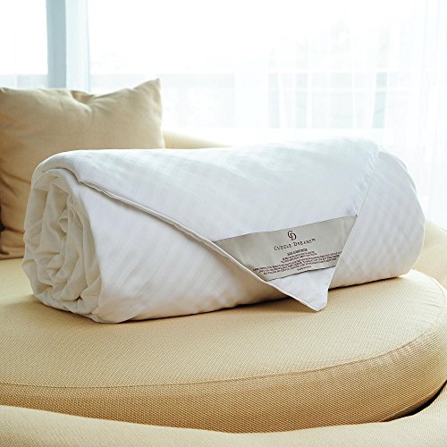 CUDDLE DREAMS Silk Comforter for Spring/Summer/Fall, 100% Long-Strand Silk Filling, Natural & Breathable (Twin Size) CUDDLE DREAMS