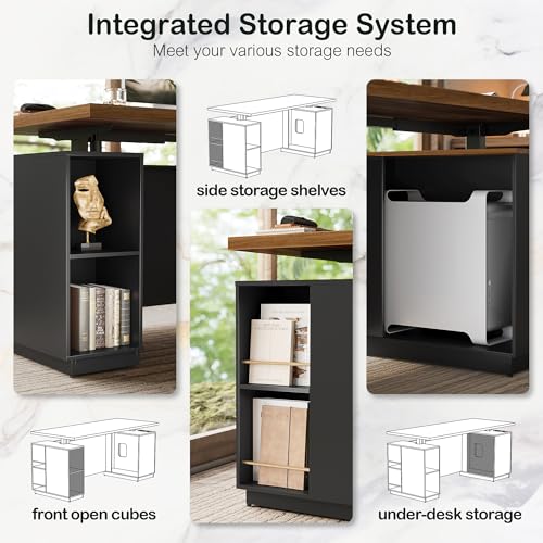 ModernMate 71" Standing Executive Desk with Privacy Panel, Large One-Piece Electric Height Adjustable Stand Up Desk with Charging Station, File Cabinet Storage, Home and Office, Black Walnut ModernMate