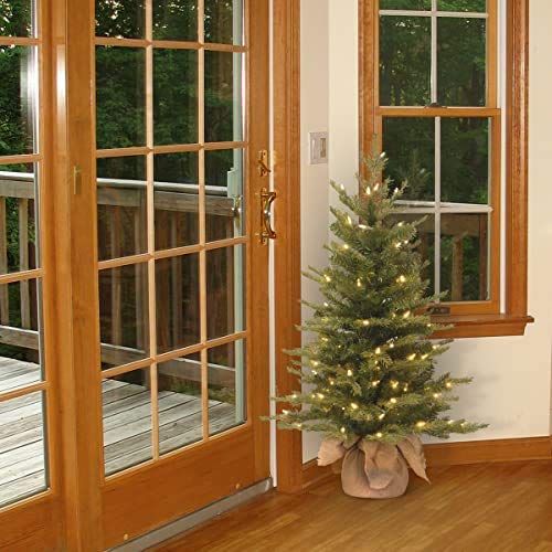 National Tree Company Pre-Lit 'Feel Real' Artificial Mini Christmas Tree, Green, Nordic Spruce, White Lights, Includes Burlap Bag Base, 3 Feet National Tree Company