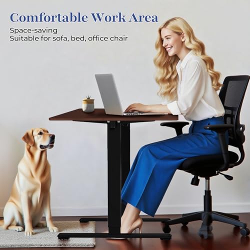 NSY Audio Electric Standing Desk 48x24 Inches - Height Adjustable, Whisper Quiet Motor, Walnut Top & Black Frame for Home Office Gaming, Focused Work, Walnut Brown Generic