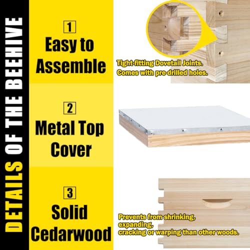 BeeCastle 10-Frame Complete Bee Hives and Supplies Starter Kit,Beehives for Beginners with Beehive Frames and Waxed Foundations (2 Deep Bee Boxes & 1 Medium Super Bee Box) BeeCastle