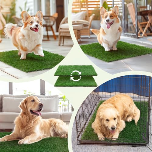 LOOBANI Dog Grass Pee Pads, Artificial Dog Grass Pads for Potty Tray, Fake Grass for Dogs to Pee On, Outdoor Indoor Pee Grass for Dog Potty (18*23 inch) LOOBANI