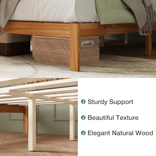 Novilla Queen Bed Frame with Headboard, Solid Wood Bed Frame Foundation with Wood Slat Support, No Box Spring Needed, Easy Assembly, Oak Novilla