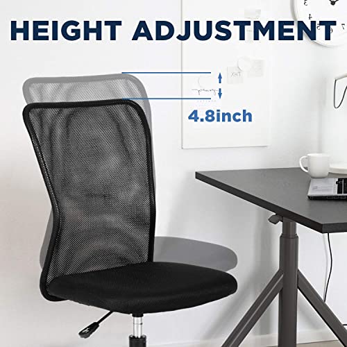 FDW Home Office Chair Mid Back Mesh Desk Chair Armless Computer Ergonomic Task Rolling Swivel Chair Back Support Adjustable Modern with Lumbar Support,Black FDW