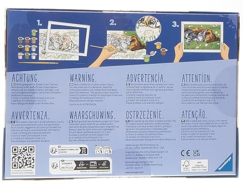 Ravensburger CreArt Harry Potter Gifts Hermione Paint by Numbers Kits for Children & Adults Ages 7 Years Up - Kids Craft Set Ravensburger