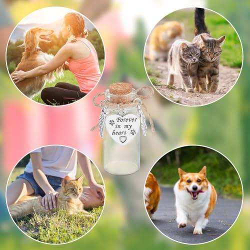 DELORIGIN 2pcs Pet Hair Glass Memorial Bottle Wishing Bottle with Heart Pendants and Cork Stopper Dog Cat Glass Tube Keepsake Memorial Urn Pet Sympathy Glass Vial Remembrance Gift for Pet Ashes Hair