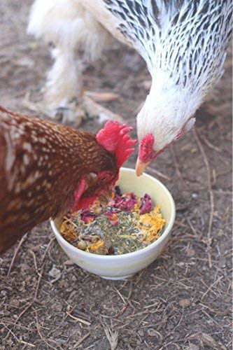 Pampered Chicken Mama Best Eggs Ever! Nesting Herbs for Chickens (10 Ounces) Calcium Supplement for Chickens | Chicken Feed Supplies, Hen Treats for Coops Pampered Chicken Mama