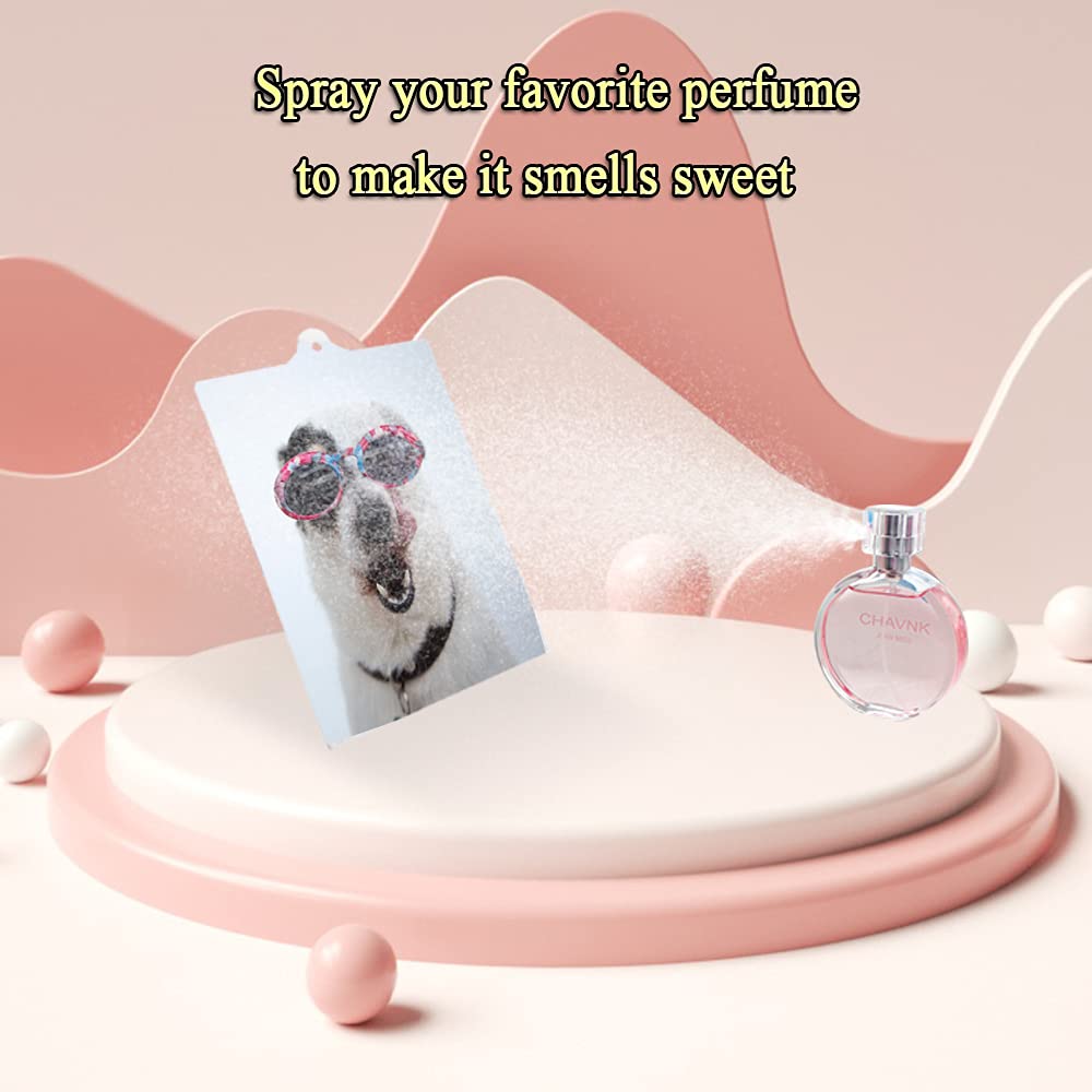 50 Pcs Sublimation Car Air Freshener Blanks, Car Hanging Accessories, Diy Car Accessories Crafts White Sheets with Elastic Strings Ubenic