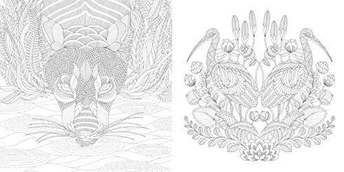 Animal Kingdom: Color Me, Draw Me (A Millie Marotta Adult Coloring Book) Union Square & Co.