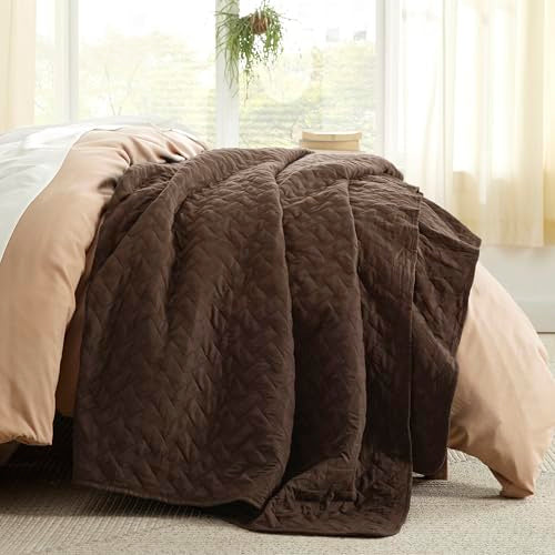 Bedsure Quilts Queen Size - Lightweight Bedspreads Queen Size with Basket Weave Pattern, Soft Quilt Bedding Set, Brown Comforter Set Coverlet for All Seasons with 2 Pillow Shams (90" x 96") Bedsure