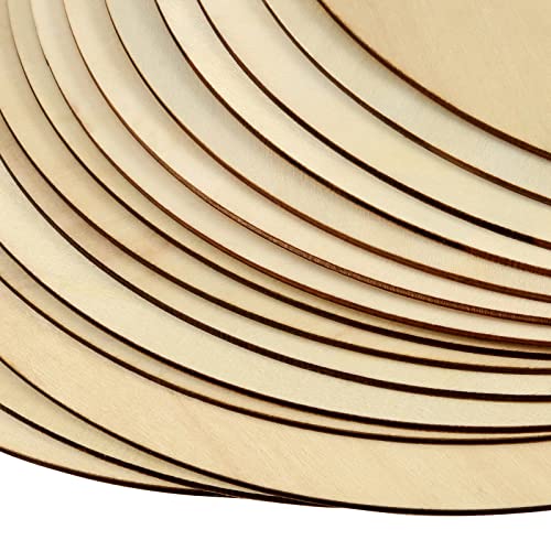 MAHIONG 20 Pack 12 Inch 1/8 Thick Round Wood Circles, Natural Premium Unfinished Wood Circles Wood Rounds, Wood Circles for Crafts Door Hangers Acrylic Painting MAHIONG